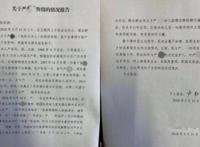 金苹果幼儿园严书记事件 被身边人搞没了前途