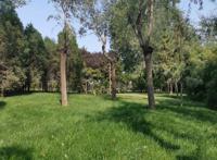 经济逆境中普通人的机会在哪里 投资什么都不好使
