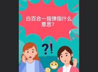 白百合一指弹指什么意思 游泳池一指禅弹男模小弟弟