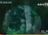 巴西亚马逊外星人事件真的吗 事件中也是有照片作证