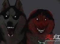 微笑狗恐怖事件死了多少人 身边有一只手怎么回事