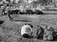 1986年血洗事件是什么 事件死了多少人原因是什么