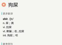 shit bro什么意思中文翻译 用英语怎么说是骂人的吗
