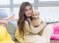 she组合三人的资料简介 现状为什么解散了