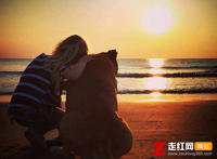 如果不曾遇见生活多平淡是什么歌，感谢陪伴歌曲介绍