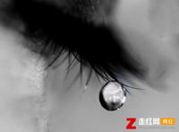 黑夜漫漫却漫不过孤独是什么歌，我的眼泪你不在乎歌曲介绍