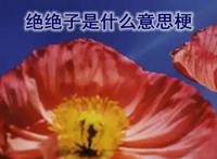 绝绝子这个梗哪里来的 绝绝子用古文怎么说