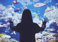 你是谁我是谁是什么歌，咚吧啦歌曲介绍