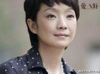 王海燕第一任丈夫是谁 和张嘉译怎么认识的