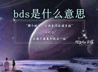 bds是什么意思 通俗易懂的十种含义