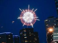 飞鸟尽良弓藏狡兔死走狗烹什么意思 是谁最先说的