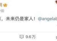 黄晓明杨颖什么时候离的婚 为什么婚变和baby官宣离的婚是真的吗