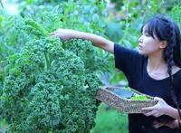 李子柒事件是怎么回事 最近出现却是在公安局报警