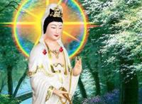 菩萨的生日是几月几日 每一位菩萨的生日大全