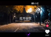 我承认我自卑我真的很怕黑是什么歌，孤芳自赏歌曲介绍
