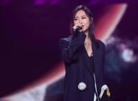 你是我未曾拥有无法捕捉的亲昵是什么歌，虚拟歌曲介绍