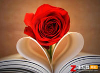 我爱你一定爱到花都开了鸟儿把歌唱是什么歌，一定要爱你歌曲介绍