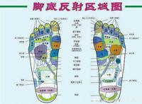 脚的各个部位详细图 各个位置名称图片叫什么