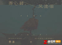雨心碎风流泪花花世界无人陪是什么歌，雨心碎风流泪歌曲介绍
