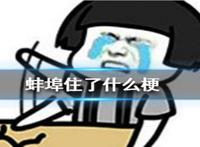 蚌埠住了是什么意思哦 梗怎么来的怎么读语音