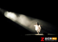 你看那盛放的花儿来自期盼的种子是什么歌，和光同尘歌曲介绍