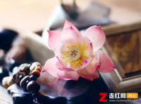 前世我是谁的谁今生我又在等谁是什么歌，今生我在修佛缘歌曲介绍