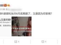 谢娜和张杰什么时候离的婚 被离婚原因和邓紫棋有关
