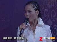 一切美好只是昨日沉醉是什么歌，风雨彩虹铿锵玫瑰歌曲介绍