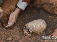 俄出土奇怪头骨 俄罗斯头骨解剖自拍照是外星人吗