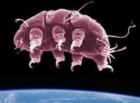 世界上不死的生物是什么 6种永不死亡的生物