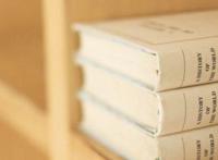 hide on bush翻译中文 是什么意思