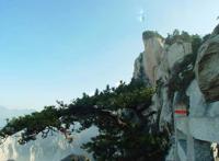长安八景是哪八景 按顺序介绍以及所在地