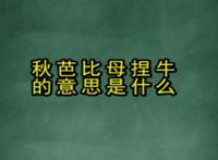 求芭比母捏牛是什么意思 整蛊路人的恶搞词解释