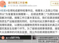 杨幂诈捐门事件 为什么会被认为不正常呢