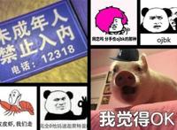 obj是什么意思 缺课跟不上时代潮流了