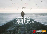 走走停停半生已过是什么歌,洒脱歌曲介绍