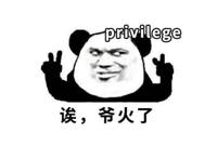 privilege是什么意思 既然提到privilege是什么梗怎么用