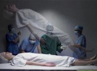 死人体重实验是真的吗 人的灵魂有重量狗没有