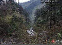 四川黑竹沟的神秘事件 六大未解之谜怎么回事