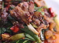 麂子的肉有什么作用 麂子肉什么人不能吃