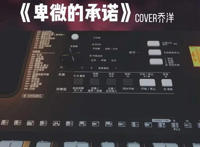 是谁卑微了承诺这一个夏天你少了我是什么歌，卑微的承诺歌曲介绍