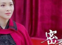 密查电视剧演员表 密查大结局武仲明为什么不走