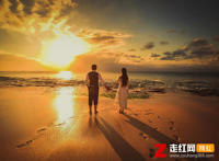 我在等某年某月的某一天某人出现是什么歌，我在等歌曲介绍