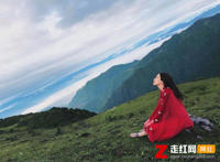 反正他都不难受他只要自由是什么歌，预谋歌词分享