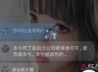 本兮童可可事件发生了什么 聊天记录图是怎样的