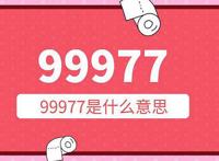 99977用九键打出来什么意思 99977的含义是啥玩意
