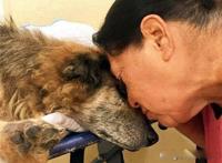 狗狗安乐死多少钱一支 在几十块到一二百块之间