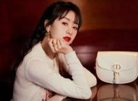 袁冰妍出什么事了 袁冰妍偷税漏税是真的吗