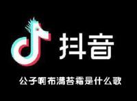 歌词是公子啊抖音那个什么歌原唱 抖音最火歌曲含公子的都在这儿了