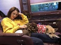 男友晒陈乔恩近照满脸幸福 陈乔恩男朋友艾伦是谁身份背景深扒